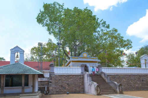 www.exoticislandtours.com Anuradhapura 3