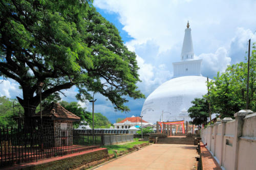 www.exoticislandtours.com Anuradhapura 4