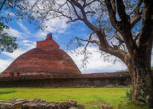 www.exoticislandtours.com Anuradhapura 6