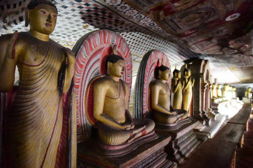 www.exoticislandtours.com Dambulla 7