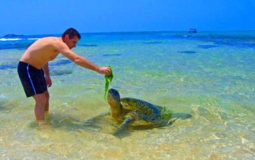 www.exoticislandtours.com Hikkaduwa 4