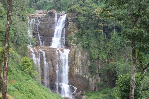 www.exoticislandtours.com Nuwara Eliya 11