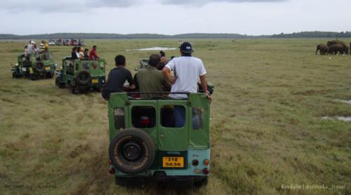 www.exoticislandtours.com Polonnaruwa 8