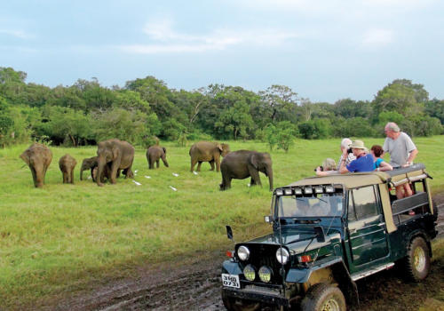 www.exoticislandtours.com Polonnaruwa 9