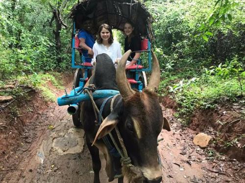 www.exoticislandtours.com Sigiriya 6