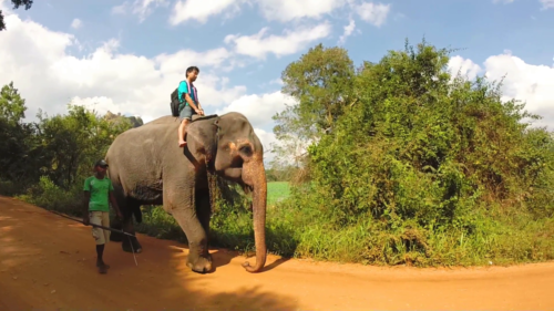 www.exoticislandtours.com Sigiriya 7