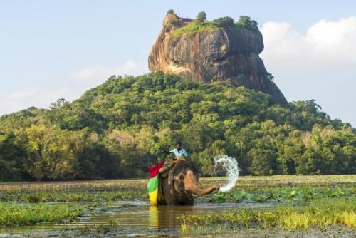 www.exoticislandtours.com Sigiriya 8